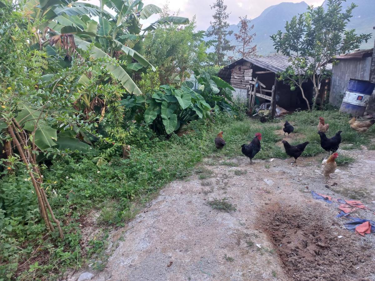 Homestay Hoàng Vũ Ha Giang Extérieur photo